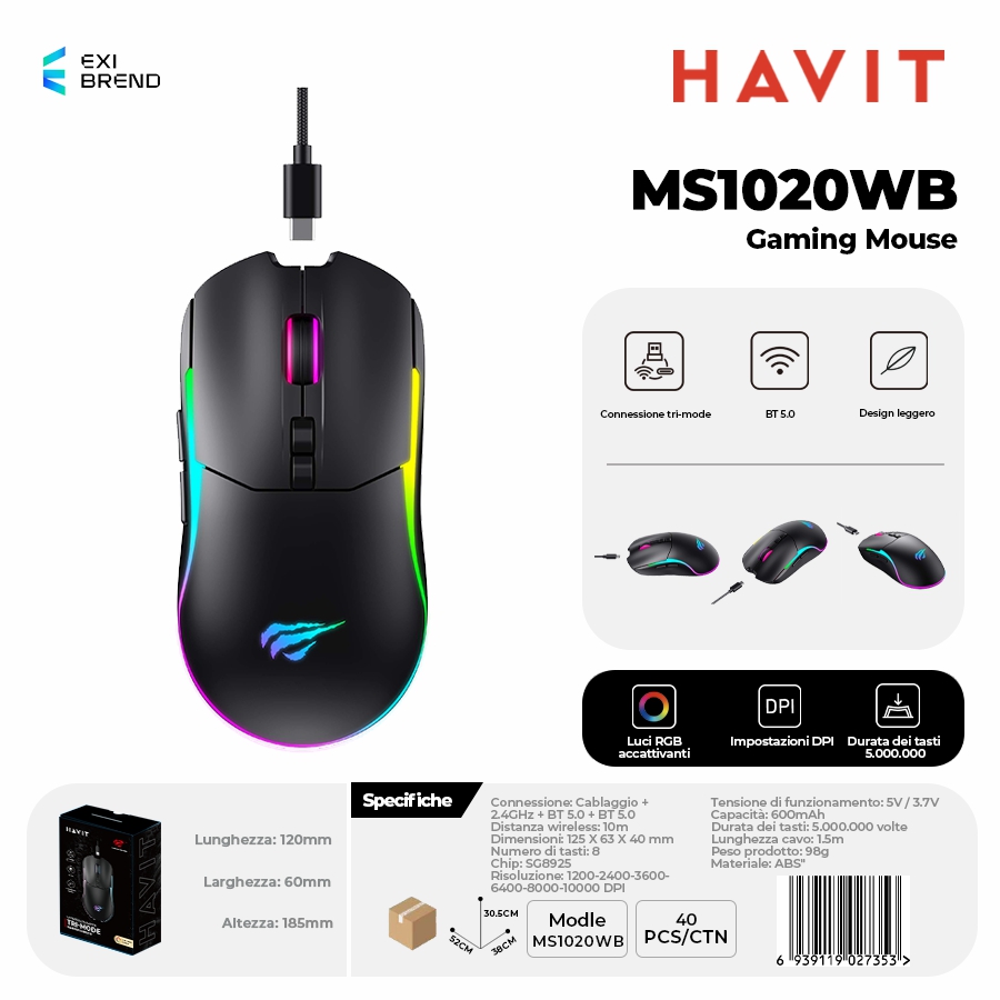HAVIT MS1020WB-BK Mouse Wireless Gaming
