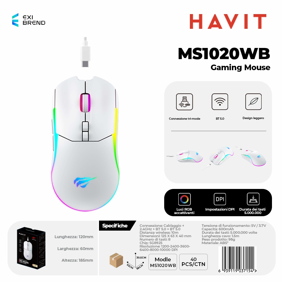 HAVIT MS1020WB-WH Mouse Wireless Gaming